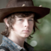 チャンドラー・リッグス (Chandler Riggs)