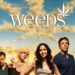 海外ドラマ『WEEDS～ママの秘密』シーズン2